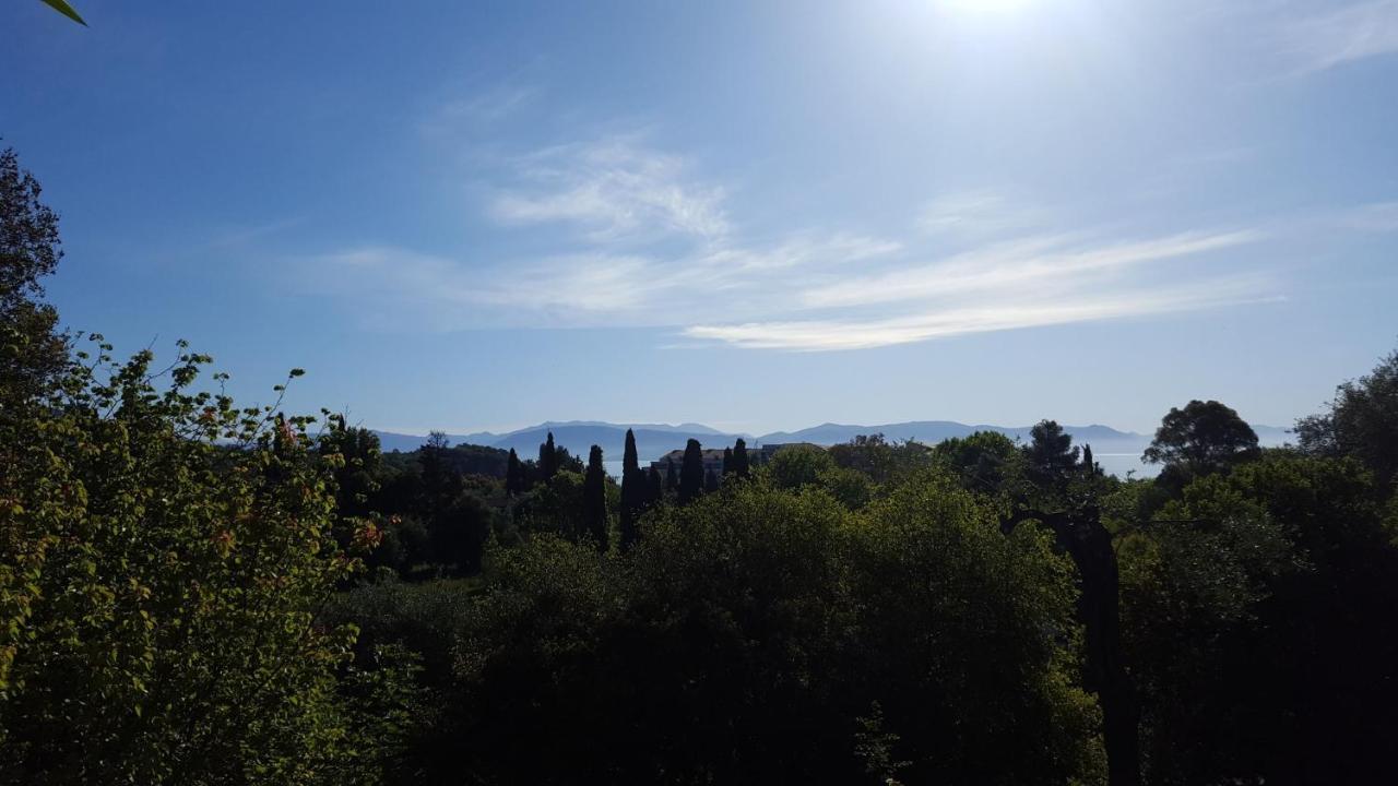 Casa Sofia Dassia (Corfu)