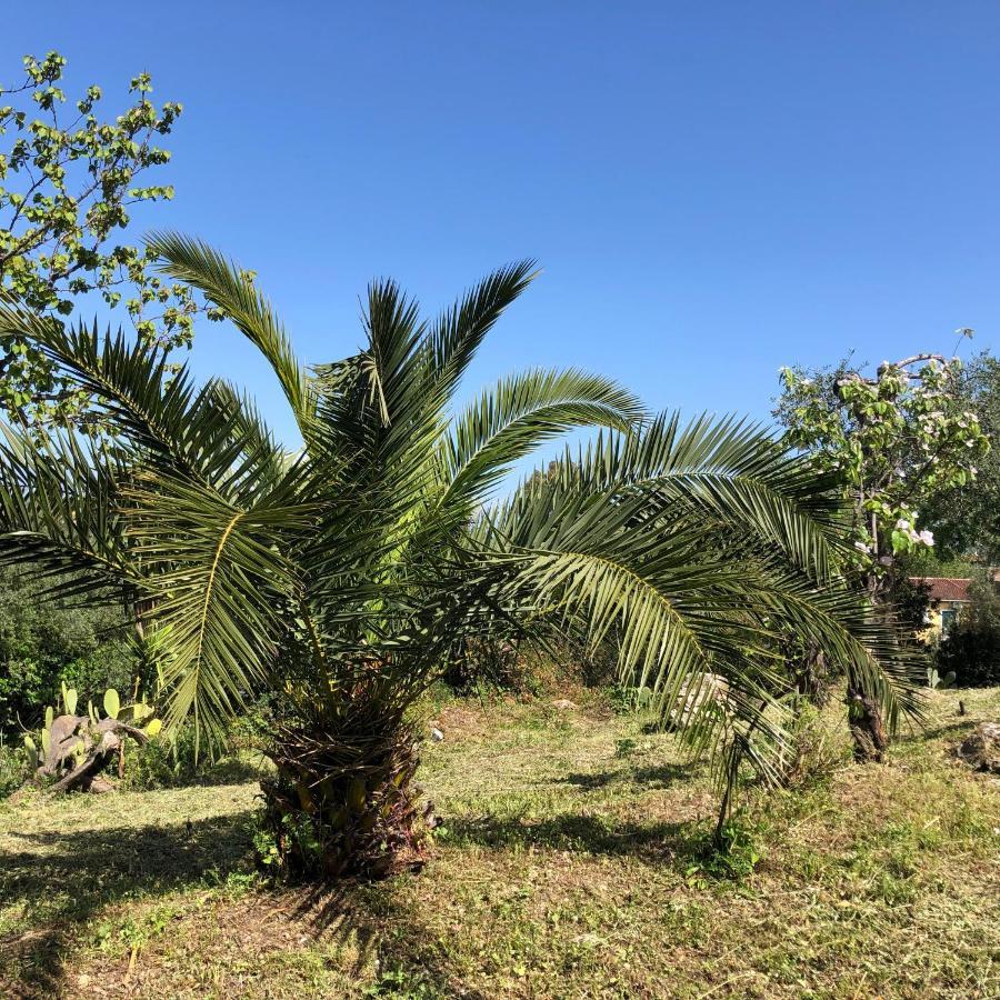 Casa Sofia Holiday home Dassia (Corfu)
