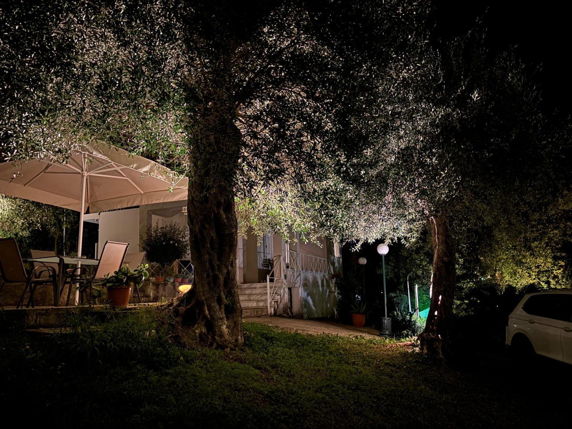 Holiday home Casa Sofia *